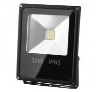 Прожектор светодиодный ЭРА LPR-30-6500K-M